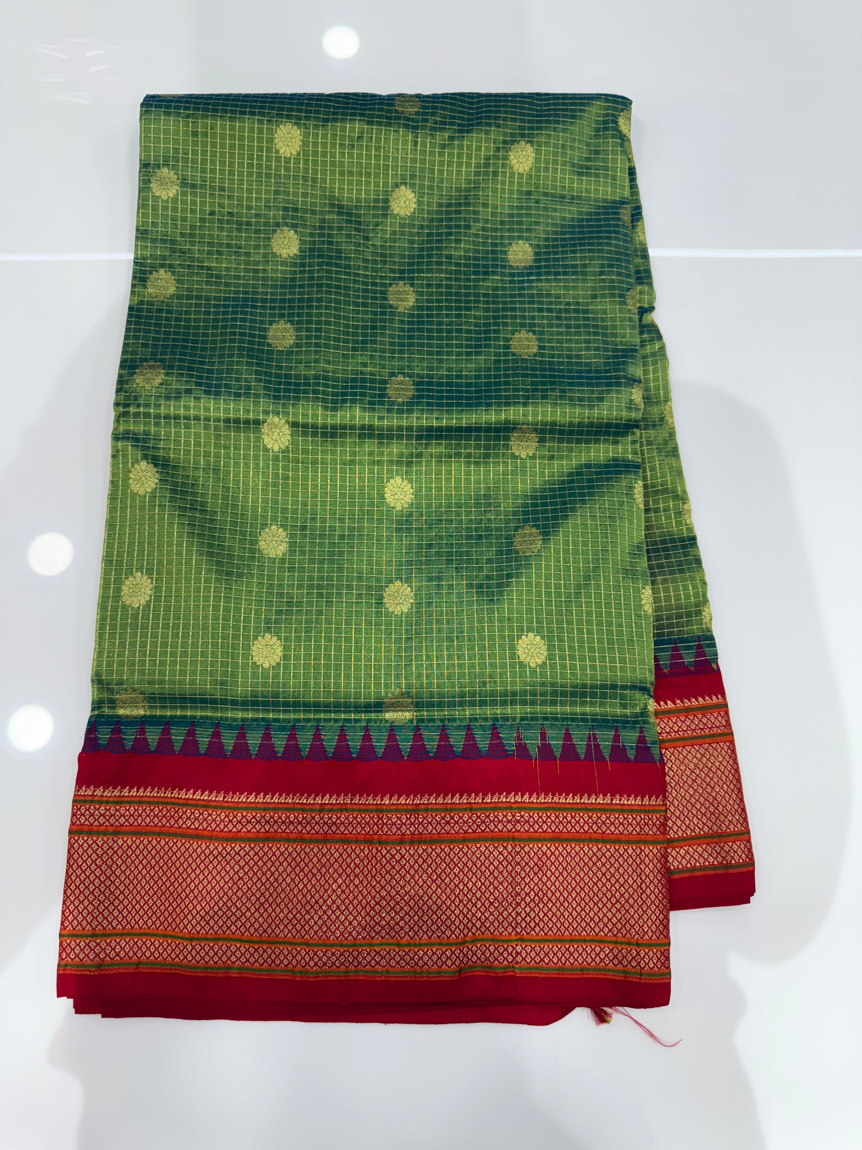 SSS- 166 pithani sares